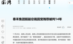 臻宝科技IPO，低价拿到大笔股权的神秘女董事，背后是什么来头？