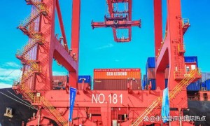 敬酒不吃吃罚酒，中方开始使狠招，波兰赶紧开大门，已经赶不上趟