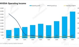 英伟达：业绩狂热 vs 股价冰冷，宇宙第一股就此失宠？