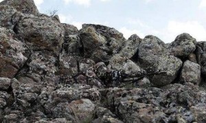 全球最厉害的狙击手伪装术，5张图38秒内全找到，你天赋不一般