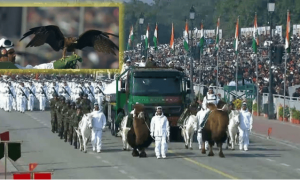 不给美国当小弟？今年印度大阅兵，美械几乎看不见了，莫迪这棋高明