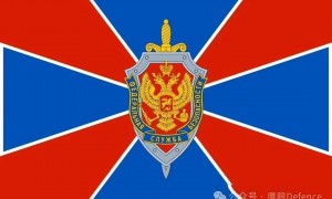 绍伊古“遇刺”当天发病，多次急剧恶化后，俄前副防长古怪病亡