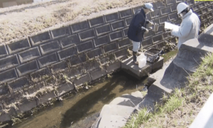 驻日美军基地周边，泄露有毒物质，危及妇孺健康