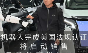 神人贾跃亭，离回国只差一步之遥