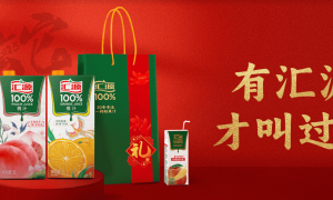 汇源内斗，国中水务受伤