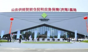 山寨餐饮连锁，涌入县城