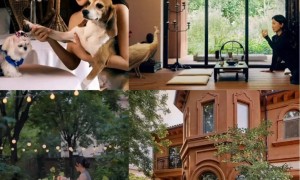 霍思燕夫妇和好友聚餐，穿单肩裙瘦出“小蛮腰”，牵三条狗真拉风