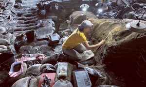 原创 
            科学家：我们可能错了，数万年前人类只剩1万人，罪魁祸首可能并不是史前火山大爆发