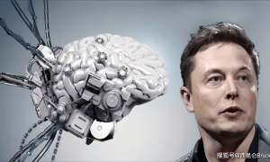 原创 
            突发！马斯克：人类可以实现半永生，网友热议：科幻还是新商机