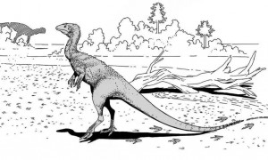 四川自贡一村民用了多年的垫脚石，竟是重要的恐龙化石？