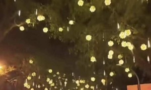 国内多地挂黄灯笼引热议，有人觉得富贵吉祥，有人觉得“有点怪异”
