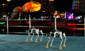 进厂打工没人要的机器人，全在外面接商演。