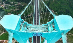 新突破，多领域收获亮眼成绩单