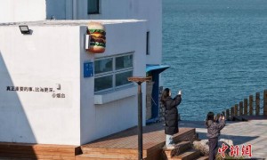 冬日飞“阅”山东“网红海岛” 咖吧民宿拉满治愈感