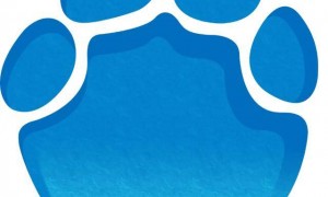 马斯克：白领劳动力将最先消失，AI最先取代只需敲击键盘和移动鼠标的工作