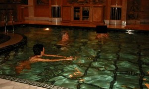 因一张照片被泄露，希拉里作证时突然中断，她声称对爱泼斯坦案不知情，敦促质询特朗普，暗示马斯克也应被传唤