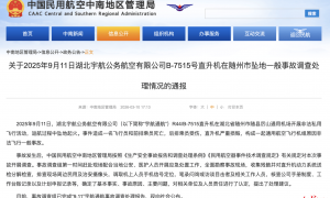 随州“直升机坠机致死伤”调查报告公布：坠机前飞行员惊呼“完了，有电线”，当日未申报飞行计划