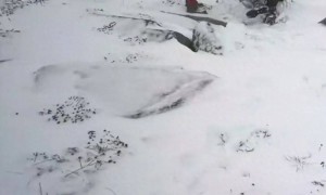 陕西太白通报“5人违规穿越鳌山”：2人遇难1人坠崖、1人自行下山、1人获救，正全力救援坠崖者