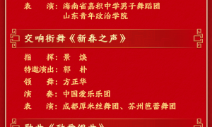 不扭秧歌了！宇树机器人春晚表演武术；今年总台春晚至少有三个机器人“参演”的节目