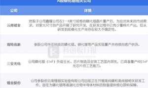 AI时代“隐秘赢家”？这类半导体“逆袭”走到聚光灯下