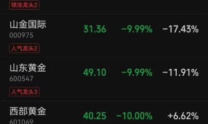 A股开盘：黄金股、白银股全线跌停