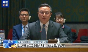 中方点名多个恐怖组织