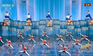 太燃了！秧BOT进化成了武BOT