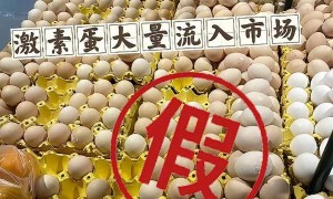 致癌的“激素鸡蛋”又来了？真相是→