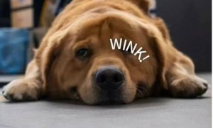 新国标要来了，你可能再也买不到9块9的充电宝了。