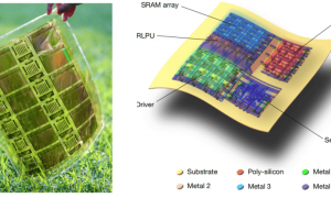 全球首款！柔性存算芯片来了