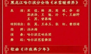 春晚节目单来了！宇树机器人今年不扭秧歌，改练武术！
