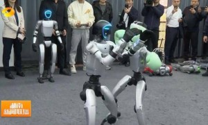 湖南省省长、浙江省省长，一同观看机器人表演