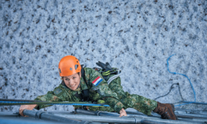 54岁荷兰王后参军，王室发声