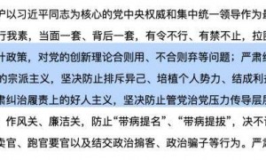 密切关注新动向！中央纪委重要报告，多个表述首次出现