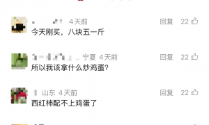 西红柿价格暴涨近10倍！“涨价将持续到3月！”