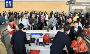 近三分之一旅客70岁以上 老人们的温暖“迁徙”该如何守护
